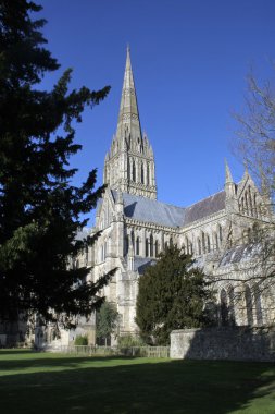 Salisbury Katedrali yaz gün