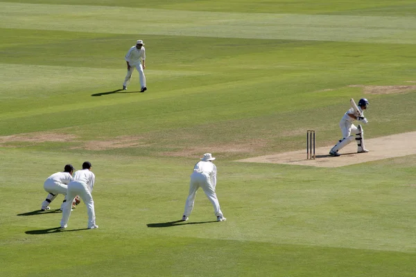 Kriket topa vuran oyuncu ve fielders — Stok fotoğraf