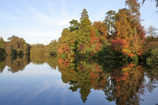 Осенние листья и озеро — стоковое фото