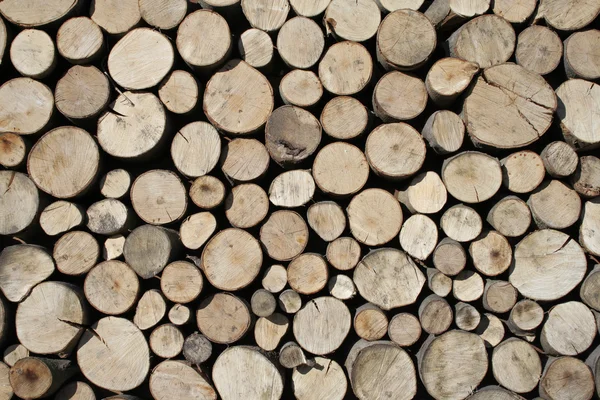 Brennholz Hintergrund — Stockfoto