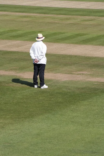 Kriket hakem yalnız — Stok fotoğraf