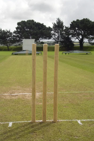 Kriket pahýly — Stock fotografie