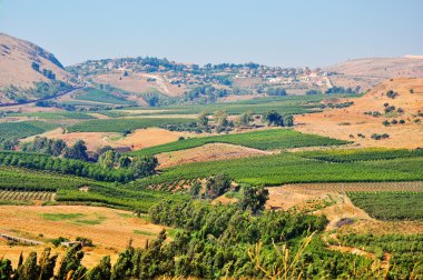 View of the Golan. North Israel. clipart