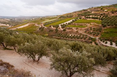 Girit Adası .