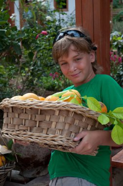 jongen met Fruitmand .