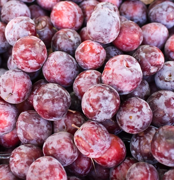 stock image Pile of purple plums at produce market.