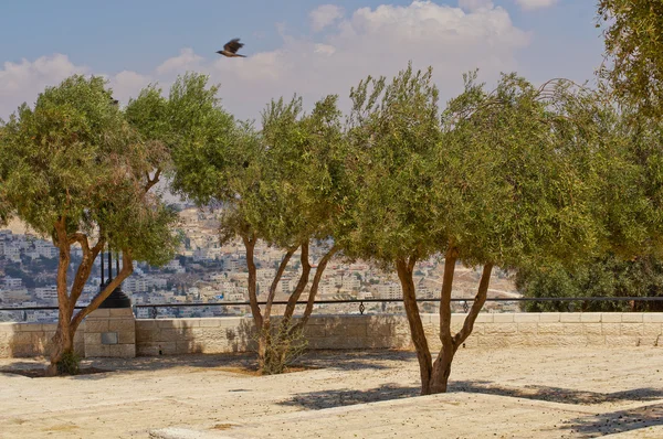 Kudüs'teki panoramik Pazar. — Stok fotoğraf