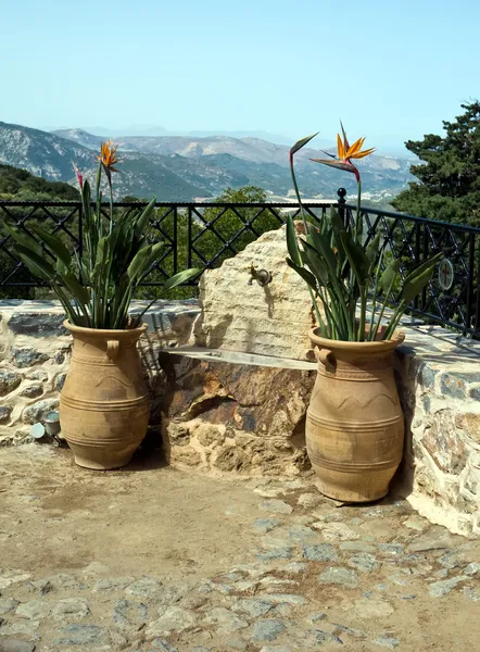 セラミック花瓶の花で囲まれた山温泉からの水の飲み物のための場所します — ストック写真
