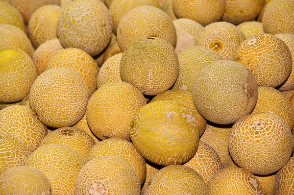 Melões Cantaloupe Mercado Frutas — Fotografia de Stock