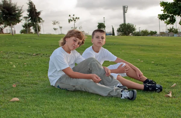 Portret Van Twee Jongens Het Gras Het Park — Stockfoto
