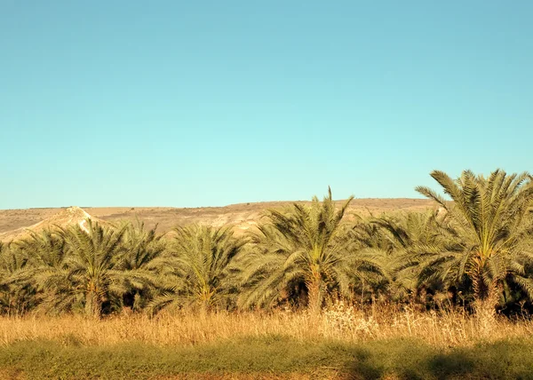 西に北からガリラヤ山 イスラエル — ストック写真