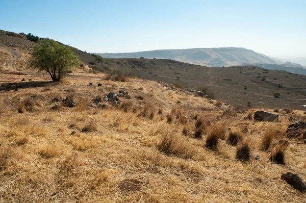 Galilee. North Israel . — Stock Photo, Image