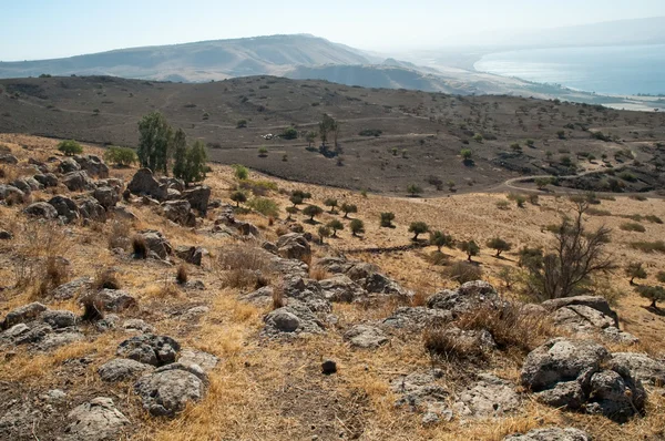 Galilea. Norte de Israel  . — Foto de Stock