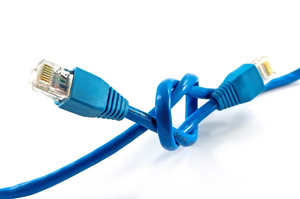 stock image Blue Cable Network connection cable
