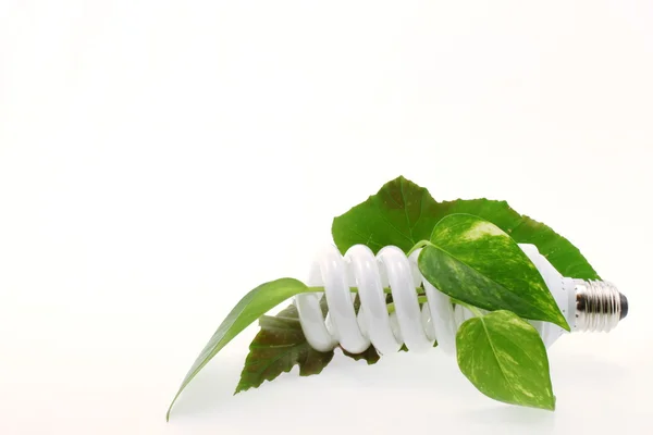 stock image Energy-saving lamp