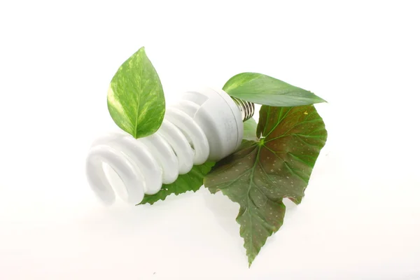 stock image Energy-saving lamp with green leaves on white background close up