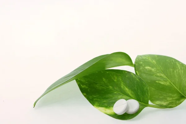 Two Tablets Green Leaves White Background Close — Stock Photo, Image