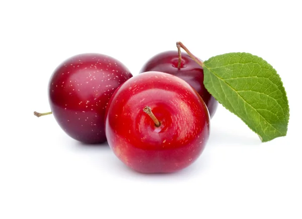Three plums with leaf — Stock Photo, Image