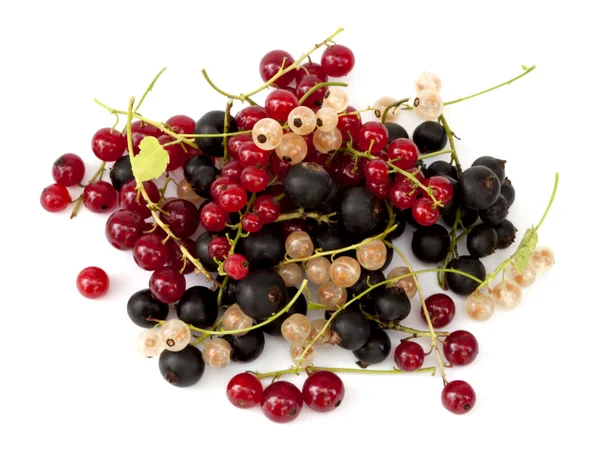 Currants on the white background — Stock Photo, Image