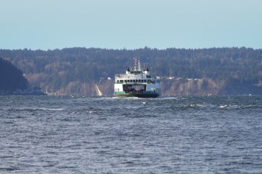 Görünüm puget Sound Washington, ABD