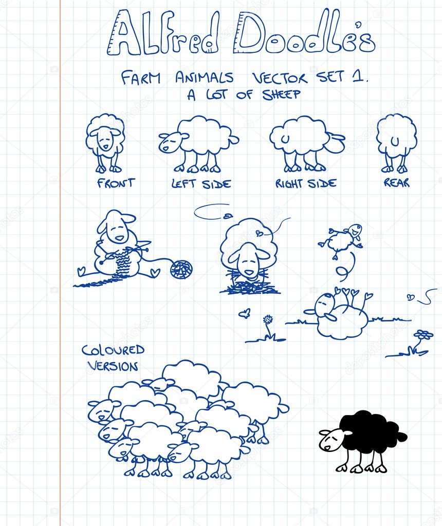 A first set of farm animals in doodle style: sheep