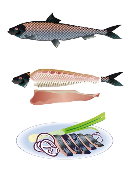 Soğan ile ringa balığı — Stok Vektör