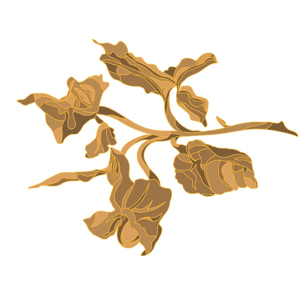 棕色缠绕植物植物 布朗的分支 — 图库矢量图片