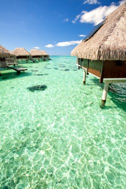 Over water bungalows over amazing green lagoon clipart