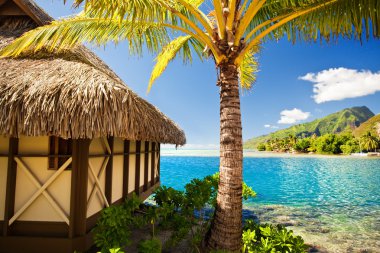 Tropical bungalow and palm tree next to blue lagoon clipart