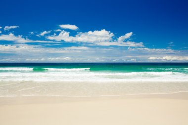 Tropical beach on sandy Gold Coast beach clipart