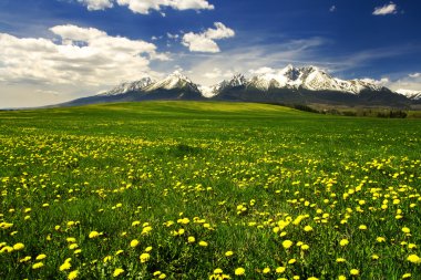 High Tatras mountains in Slovakia clipart