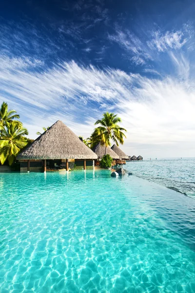 Piscine à débordement avec palmiers et océan tropical — Photo