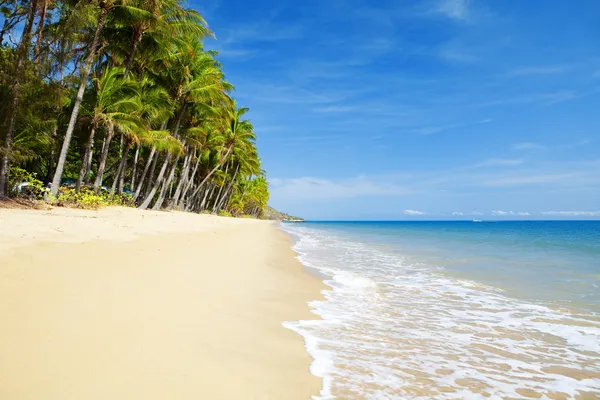 Deserted tropical beach with palm trees — Stock Photo, Image