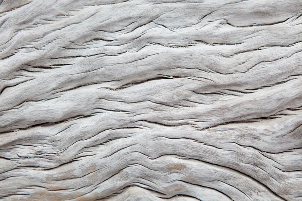 White driftwoon with irregular texture — Stock Photo, Image