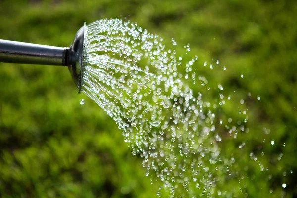 Metal vattenkanna som används att vattna gräset — Stockfoto