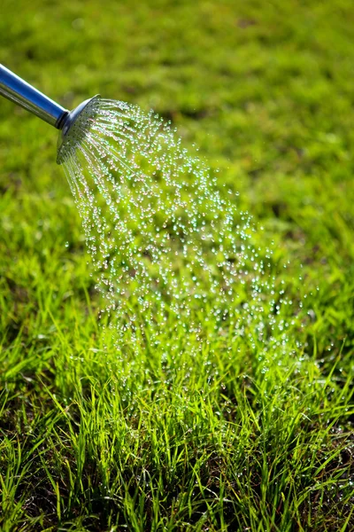 Metal watering can used to water the grass — Stock Photo, Image