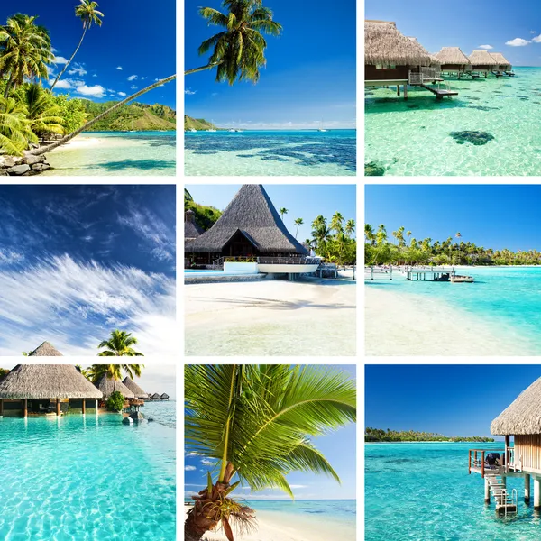 Collage of tropical images from moorea and tahiti — Stock Photo, Image