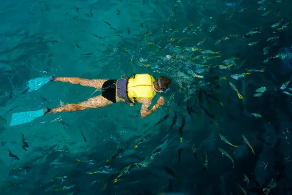 被鱼包围的男性 snorkeler — 图库照片