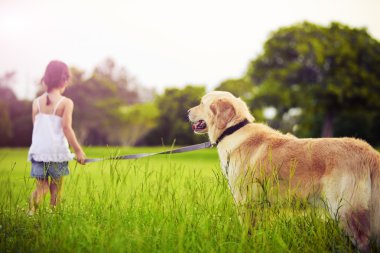 Young girl with golden retriever walking away clipart