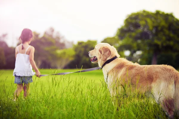 Young girl with golden retriever walking away — Stock Photo, Image