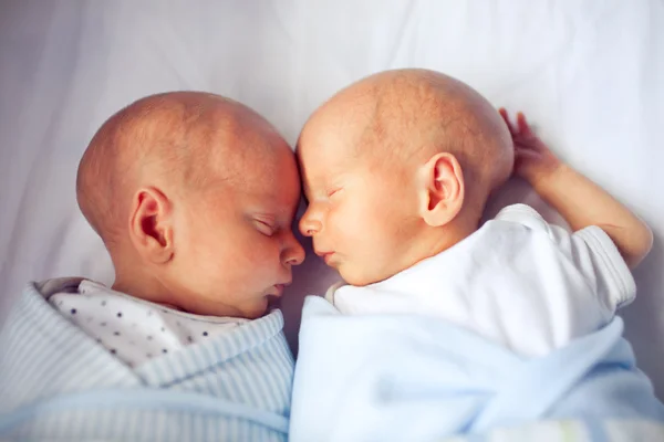 可爱的新生双胞胎睡觉和粘接 — 图库照片