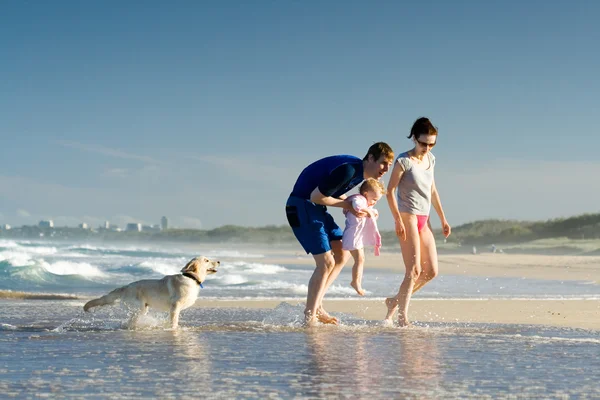 Ung familj med dotter och hund — Stockfoto