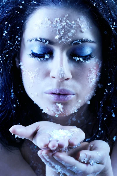 Winter beauty blowing snowflakes — Stock Photo, Image