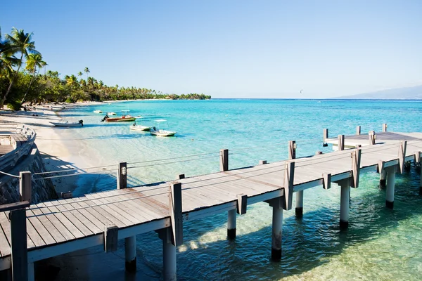 Kleiner Steg und Boote am tropischen Strand mit Palmen — Stockfoto