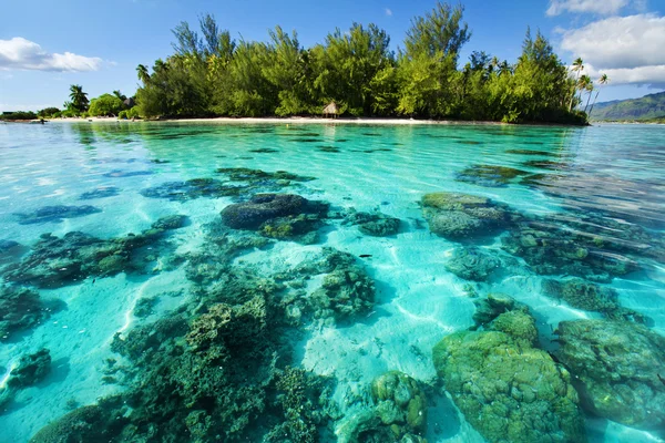 Récif corallien sous-marin à côté d'une île tropicale — Photo