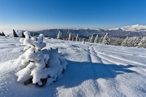 Зимний Закат Горах — стоковое фото