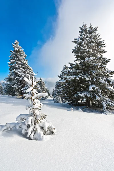 stock image Beautiful scenery of the mountains in winter sunset