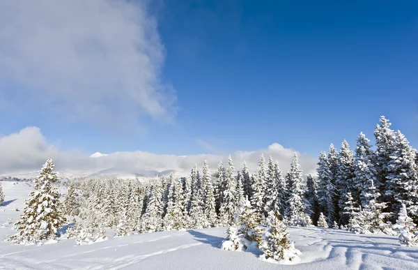 Зимний закат в горах — стоковое фото