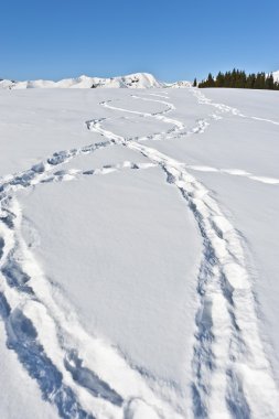 bir dağ sırtı karda ayak izleri