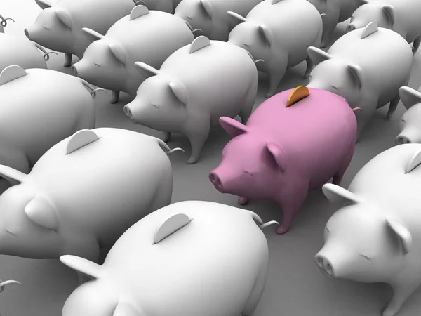 Cute Piggy Concept — Stock Photo, Image